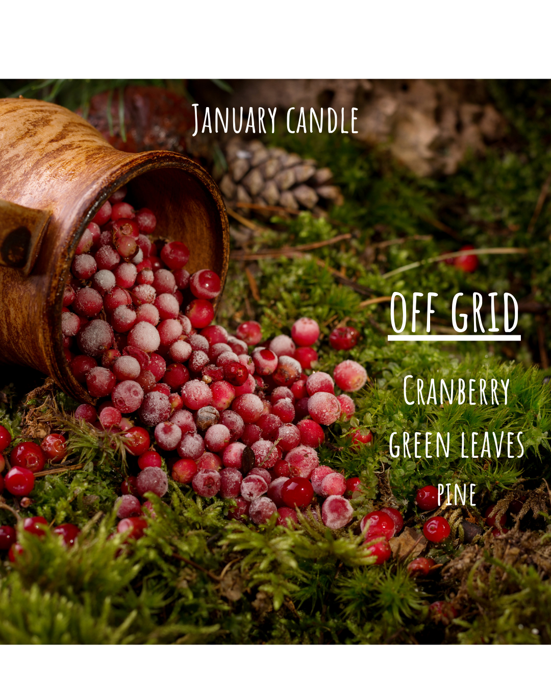 Monthly Subscription